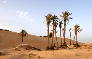 EGIPTO MÁGICO *Regalo Abu Simbel*